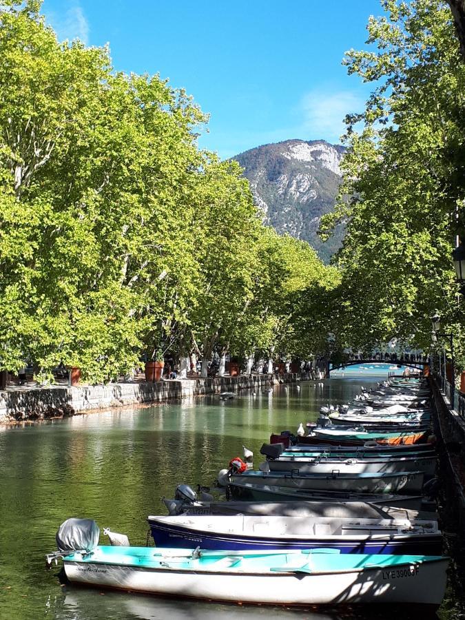 The Angel Apartment Annecy Bagian luar foto